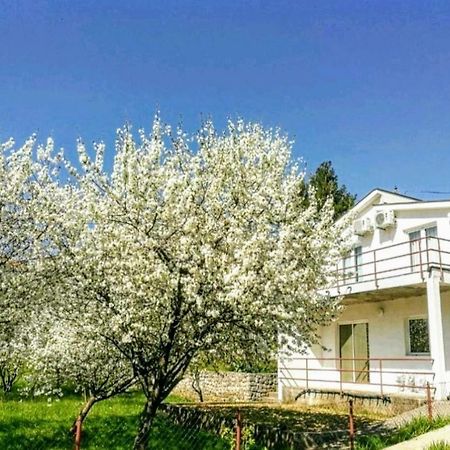 Apartments Pasha Blagaj Dış mekan fotoğraf