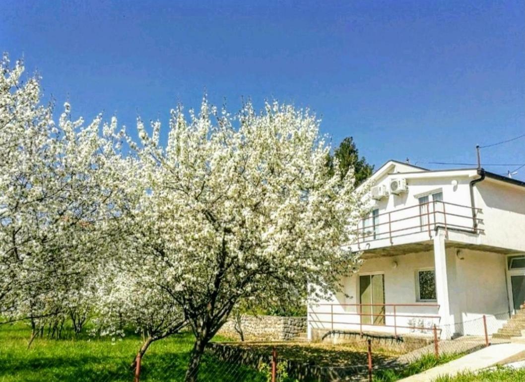 Apartments Pasha Blagaj Dış mekan fotoğraf